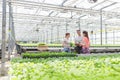 Male botanists discussing with female coworkers while standing amidst seedlings in greenhouse