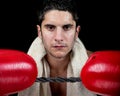 Male Boxer with gloves