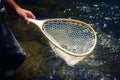 Male brook trout in a landing net