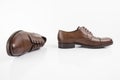 Male brown leather elegant shoe on white background.