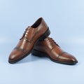 Male brown shoes isolated on the blue background Royalty Free Stock Photo