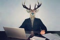 male business man with deer head on a blue background in the office at the Desk. concept of irrational management. stupid Royalty Free Stock Photo