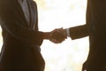 Male business partners handshake closing successful deal Royalty Free Stock Photo