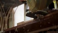 Carpenter routing edge of the wooden piece with hand router in workshop