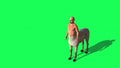 Male Centaur Half Horse Half Man on green screen