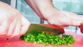 Male chef cutting parsley