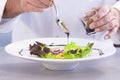 Male chef decorating a salad dish with vinegar Royalty Free Stock Photo