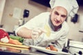 Male chef decorating salad food Royalty Free Stock Photo