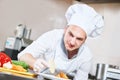 Male chef decorating salad food Royalty Free Stock Photo