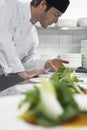 Male Chef Preparing Salad In Kitchen Royalty Free Stock Photo