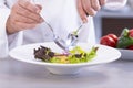 Male chef putting onion slices on a salad Royalty Free Stock Photo