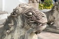 Male chinese stone lion statue