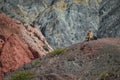 Male in colored landscape in Purmamarca, Jujuy Argentina