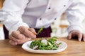 Male cook chef decorating garnishing prepared salad dish on the plate in restaurant commercial kitchen. Royalty Free Stock Photo