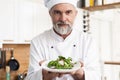 Male cook chef decorating garnishing prepared salad dish on the plate in restaurant commercial kitchen. Royalty Free Stock Photo