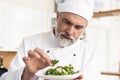 Male cook chef decorating garnishing prepared salad dish on the plate in restaurant commercial kitchen. Royalty Free Stock Photo