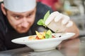 Male cook decorating dish Royalty Free Stock Photo