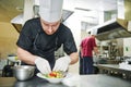 Male cook decorating dish Royalty Free Stock Photo