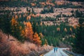 Male couple while running training in autumn nature. Back view