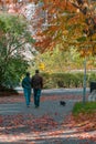 A male couple walking their dog among the fallen autumn colored leaves in Lund Sweden