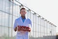 Portrait of male crop scientist carrying newly harvest tomatoes in crate at greenhouse