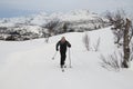 Male cross country skier