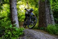 Male cyclist rides a mountain bike on a scenic dirt path surrounded by dense green foliage
