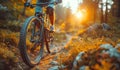 Male cyclist riding bike in the forest on rocky trail during sunset. Imagens Royalty Free Stock Photo