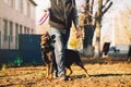 Male cynologist, police dog training outdoor Royalty Free Stock Photo