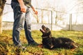 Male cynologist with service dog, training outside Royalty Free Stock Photo