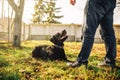 Male cynologist with service dog, training outside Royalty Free Stock Photo