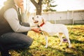 Male cynologist with trained working dog Royalty Free Stock Photo