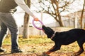 Male cynologist work with trained police dog