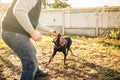 Cynologist works with service dog outside Royalty Free Stock Photo