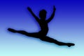 Male Dancer Jumping Royalty Free Stock Photo