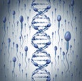 Male DNA Royalty Free Stock Photo