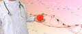 male doctor holds heart model, human dna structure background, research, deoxyribonucleic acid, cardiology, organ transplantation