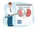 A male doctor with a magnifying glass examines diseases of the kidneys, urinary system. Medical healthcare concept.