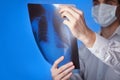 Male doctor in mask and white coat holding x-ray or roentgen of lungs, fluorography, image on blue background Royalty Free Stock Photo