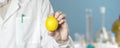 Male doctor in white uniform stretching in hand lemon. Lab background. Vitamins for your health.