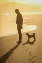 Male and dog silhouette figures on the beach