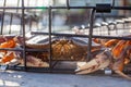 A male Dungeness crabs in a crab trap sitting on a dock Royalty Free Stock Photo