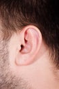 Male ear in close up Royalty Free Stock Photo