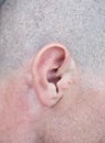 Male ear Royalty Free Stock Photo