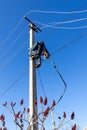 A male electrician climbs up a reinforced concrete pole to install a line of electrical wires. Royalty Free Stock Photo