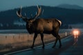 Male Elk runs across a road. Generative Ai.