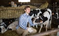 Male employee with dairy cattle in livestock farm