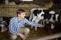 Male employee  with dairy cattle in livestock farm Royalty Free Stock Photo