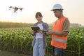 Male engineer provide a consultation and instructing to smart farmer with drone spraying fertilizer and pesticide over farmland,