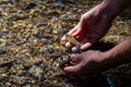 Male european hand refreshing in meditative zen atmosphere in a crystal clear water of a flat little creek with silky ripples